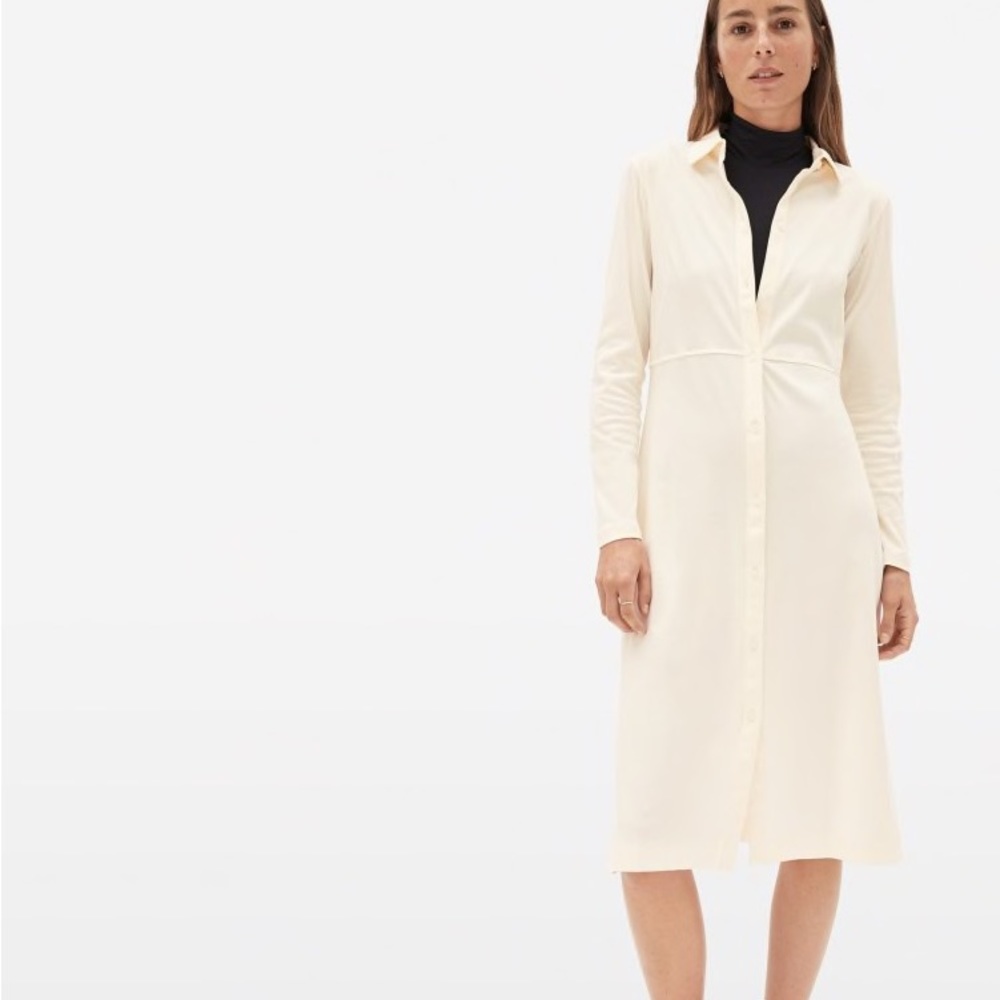 Everlane The Luxe Cotton Shirtdress